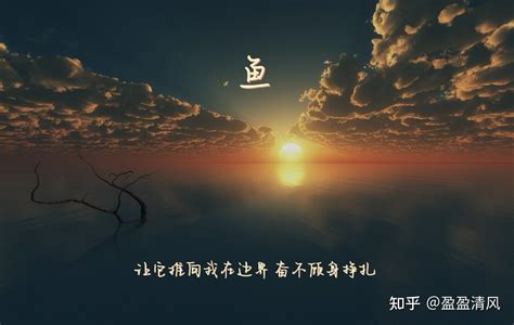 睡覺頭朝哪邊好|你睡覺朝哪邊？睡右側or左側好？「好眠指數」全都。